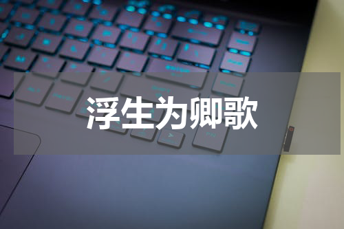 浮生为卿歌
