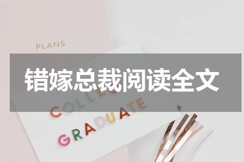 错嫁总裁阅读全文