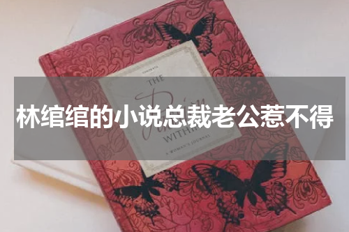 林绾绾的小说总裁老公惹不得