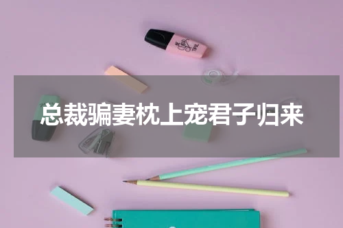 总裁骗妻枕上宠君子归来