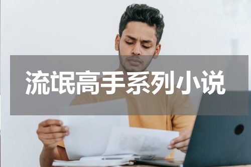 流氓高手系列小说