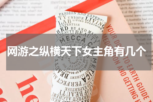 网游之纵横天下女主角有几个