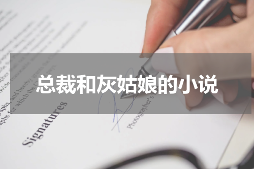 总裁和灰姑娘的小说