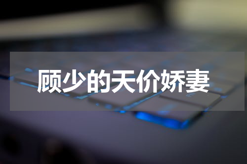 顾少的天价娇妻