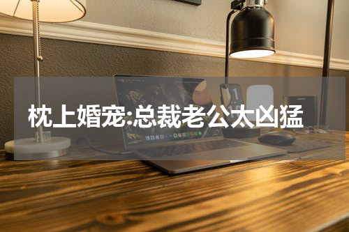 枕上婚宠:总裁老公太凶猛