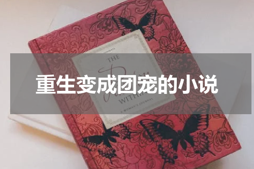 重生变成团宠的小说