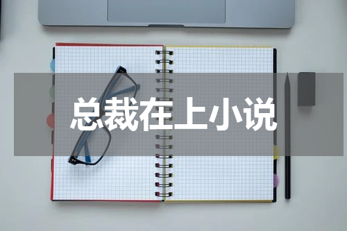 总裁在上小说