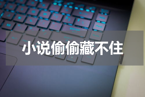 小说偷偷藏不住