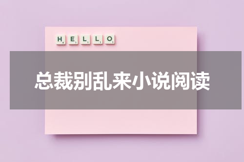 总裁别乱来小说阅读