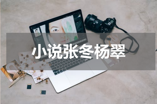 小说张冬杨翠