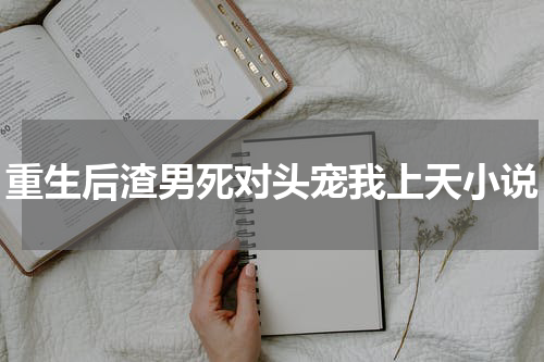 重生后渣男死对头宠我上天小说