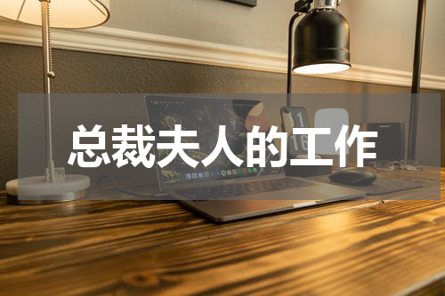 总裁夫人的工作