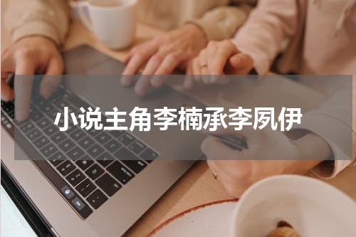 小说主角李楠承李夙伊