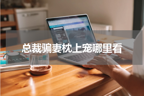 总裁骗妻枕上宠哪里看