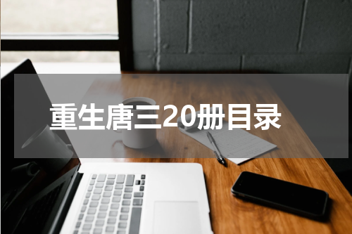 重生唐三20册目录