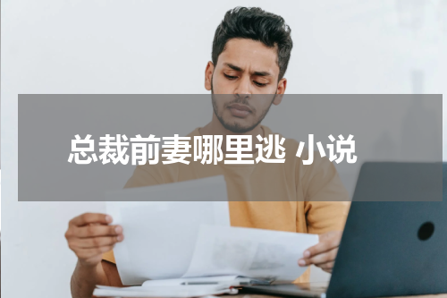 总裁前妻哪里逃 小说