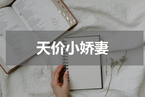 天价小娇妻