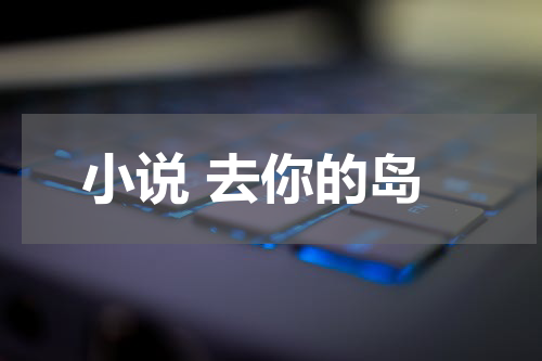 小说 去你的岛