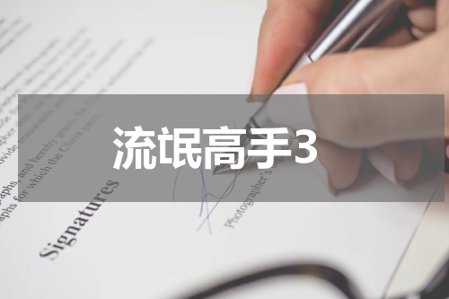 流氓高手3