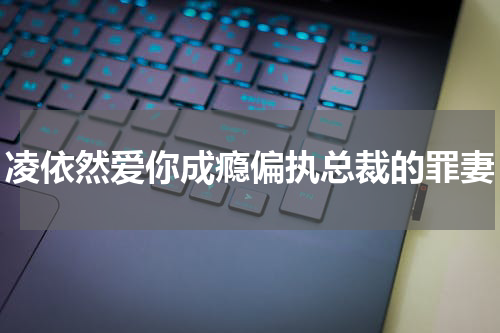 凌依然爱你成瘾偏执总裁的罪妻