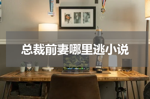 总裁前妻哪里逃小说