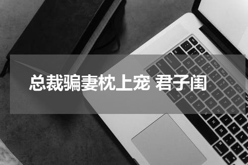 总裁骗妻枕上宠 君子闺