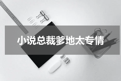 小说总裁爹地太专情
