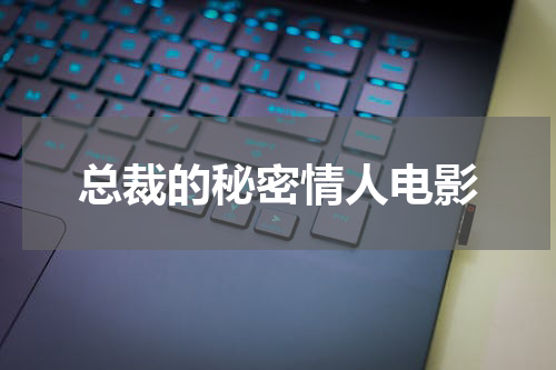 总裁的秘密情人电影