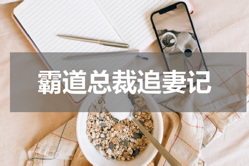 霸道总裁追妻记