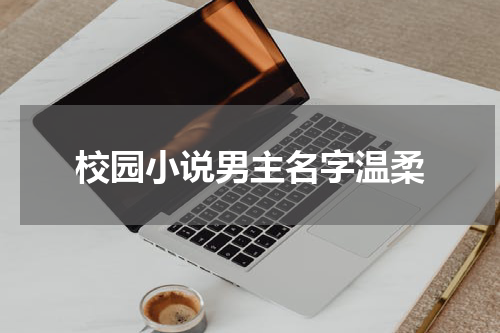 校园小说男主名字温柔
