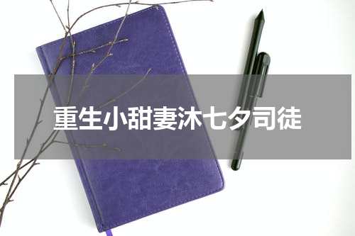 重生小甜妻沐七夕司徒