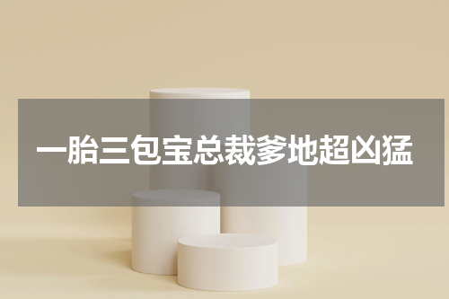 一胎三包宝总裁爹地超凶猛