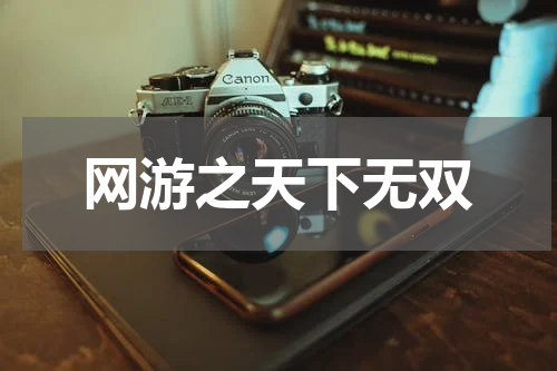 网游之天下无双