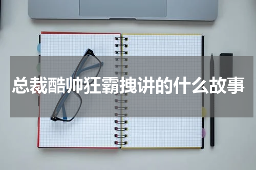 总裁酷帅狂霸拽讲的什么故事