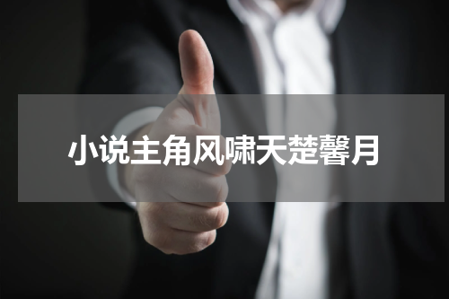 小说主角风啸天楚馨月