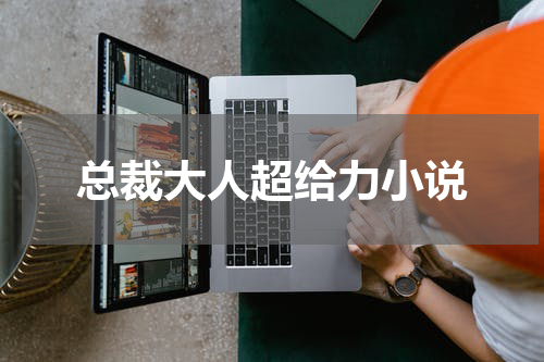 总裁大人超给力小说