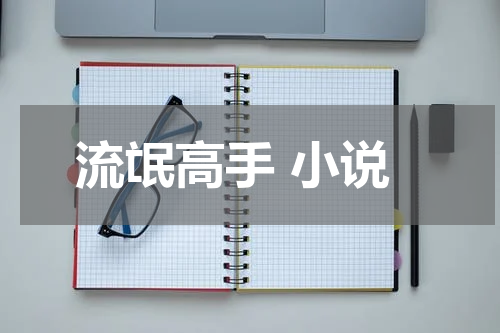 流氓高手 小说