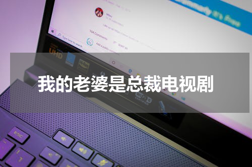 我的老婆是总裁电视剧
