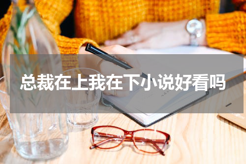 总裁在上我在下小说好看吗