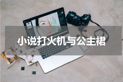 小说打火机与公主裙