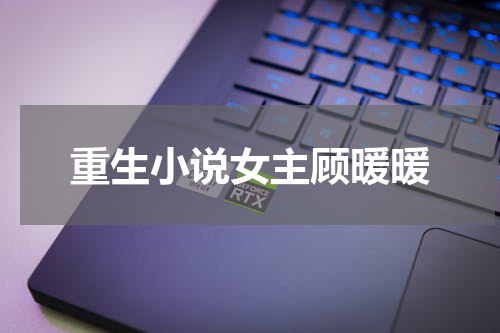 重生小说女主顾暖暖