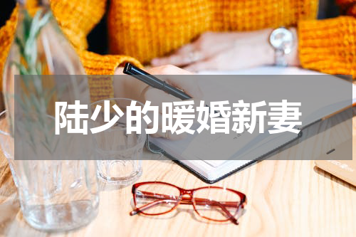 陆少的暖婚新妻