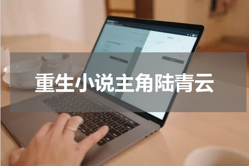 重生小说主角陆青云