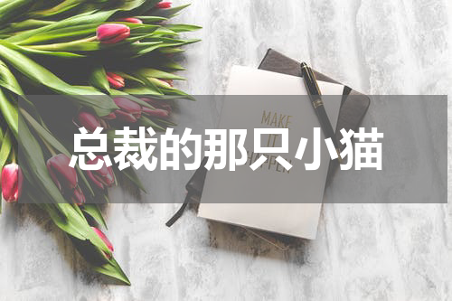 总裁的那只小猫