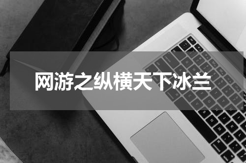 网游之纵横天下冰兰