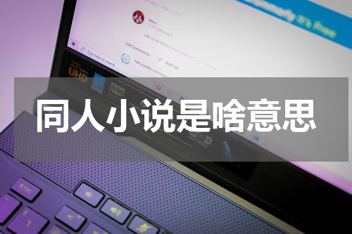 同人小说是啥意思