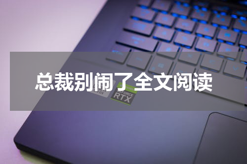 总裁别闹了全文阅读