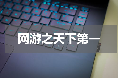 网游之天下第一