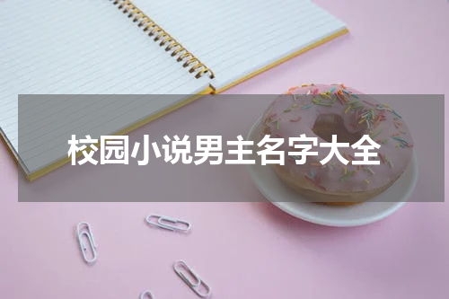 校园小说男主名字大全