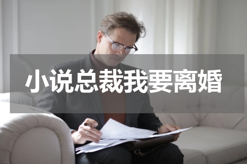 小说总裁我要离婚